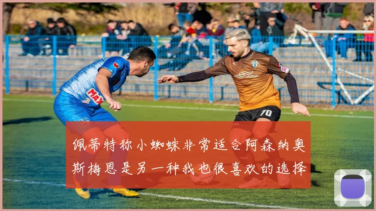 佩蒂特称小蜘蛛非常适合阿森纳奥斯梅恩是另一种我也很喜欢的选择